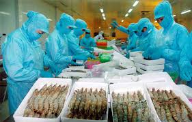 Xuất khẩu sang EAEU: Nông sản hưởng lợi, Dệt may không chủ quan