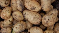 Ukrainian potato market surges amid rising demand and holiday preparations