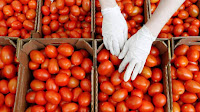 Pakistan: A Kilo Of Tomato Now Cost 700 Rupees, Even More Than Chicken; How Border Clash Hits Kitchens
