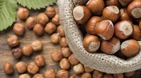 Hazelnut Exports Strengthen as Prices Surge to EUR 10.5 Per Kg
