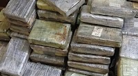 Kolda: Customs seize 115 kg of cocaine in Kalifourou