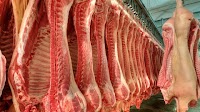 Brazil pork exports up 10.5% over 2022