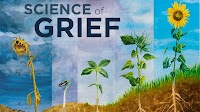 Introducing "Science of Grief," A New Podcast from WDET and Science Gallery Detroit