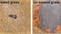 Gel Could Help Prevent Wildfires In High-Risk Areas