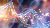 New study indicates DNA damage as key factor in AMD