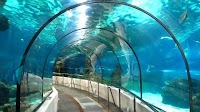 Ang India aron makuha ang Unang Underwater metro tunnel sa 2023 sa Kolkata