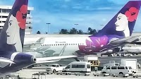 Hawaiian Airlines Flight At Center Of $20M Record Drug Bust