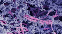 New biomaterial regrows damaged cartilage in joints