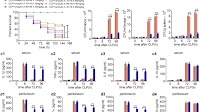 Oroxylin A alleviates immunoparalysis of CLP mice by degrading CHOP through interacting with FBXO15