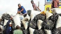 Cost of living increases by K490.41 – Zambia