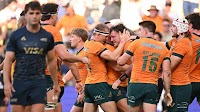 Rugby Championship: Pumas take down Wallabies