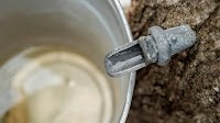 Maple SOS: How to save our syrup