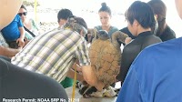 Experiential ocean education program celebrates 50th anniversary