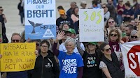 Hundreds rally for algal bloom action