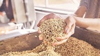 Bangladesh signs US wheat-import deal in bid to curb tariff pressure