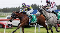 South Grafton Cup 2025 – Field, Odds, Horses, Tips, and Betting Preview