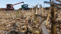 Farmers are making less money this year, which could have larger economic consequences