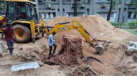 60-year-old peepal tree within Secunderabad Rail Nilayam translocated by SCR