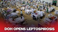Latest DOH data showed 2,396 leptospirosis cases were recorded between June 8 and Aug. 7, 2025, almost a week after the weather bureau declared the start of the rainy season. https://tinyurl.com/yudwkyn6 | via ONE News