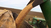 Exclusive-China pens Argentine soymeal test deal with eye on US trade war disruption