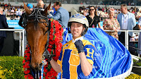 NZ Trotting Cup: What you need to know