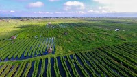 Protecting livelihoods and nature on Inle Lake