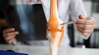 Advancing PVC Gel Artificial Muscles with Carbon Nanotube Electrodes