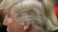Secrets of Donald Trump’s distinctive strawberry blonde mop hairstyle revealed