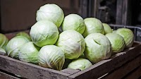 Cabbage prices in Ukraine hit a new record of 40 UAH/kg!