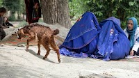 Afghanistan: Taliban restrictions on women’s rights intensify