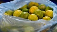 STO begins selling lemons at MVR 40 per kg