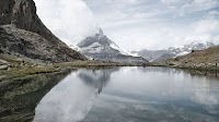 Financing options for Switzerland’s nature transition - News - Media & Politics