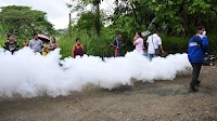 DOH monitors 80% increase in dengue cases during October-November period, year on year