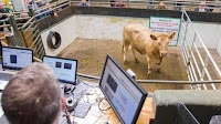 LSL cuts online marts prices as competitors commit to free service