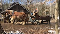 Malabar Farm's Maple Syrup Festival continues Sunday