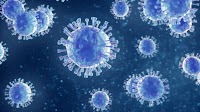 Transmission of SARS-CoV-2: implications for infection prevention precautions
