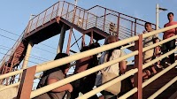 Marcos Jr. wants 'Mt. Kamuning' footbridge torn down, replaced — DOTr