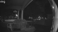 Rochester woman's Ring video of possible big cat brings national attention and local humor