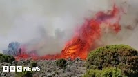 Kilimanjaro: Firefighters containing blaze on Tanzania mountain