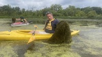 Eyeing Options: New Invasive Species Remains Focus On Lake