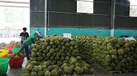 Vietnam-China bilateral trade reaches 31 billion USD in first two months