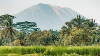 Surprise reason holidays to Bali are cheaper