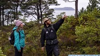 Rainforest S.O.S right here in the UK as native woods at risk from climate change
