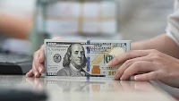 Dollar steadies at all-time high against dong