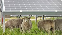Agrisolar project of 148 MW underway on Montenegro-Serbia border