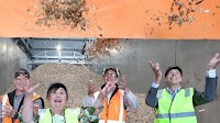 Chips made with energy from woodchips