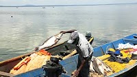 Kenya's infrastructure investments paying off in seafood export earnings
