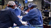 UP Man's Genitals Removed, Sex-Change Surgery Done While He Was Sleeping