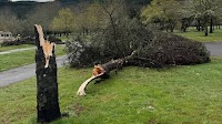 National Weather Service confirms straight-line winds in Sunday's storm near Sweet Home