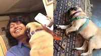 Another side of Sek Loso: Has-been rocker builds stray dog shelter